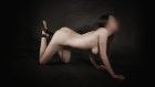 Beck_adder