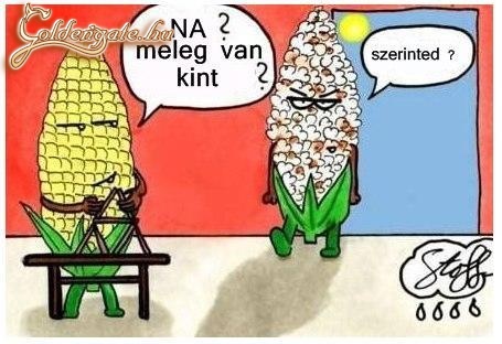kukoricák