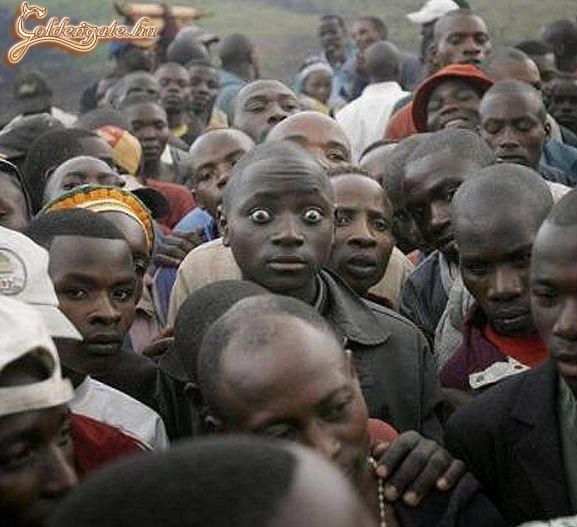 Uppsz ki dugta a seggembe?