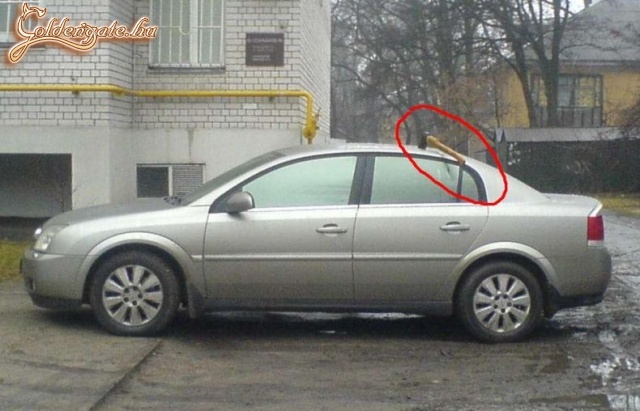 Még jó,hogy nem láncfűrésszel