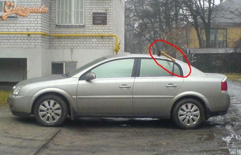 Még jó,hogy nem láncfűrésszel