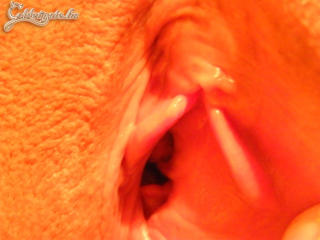 terülj -terülj puncikám - 25. kép