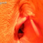 terülj -terülj puncikám - 25. kép