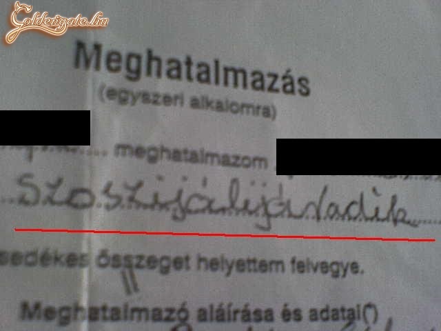 Meghatalmazás