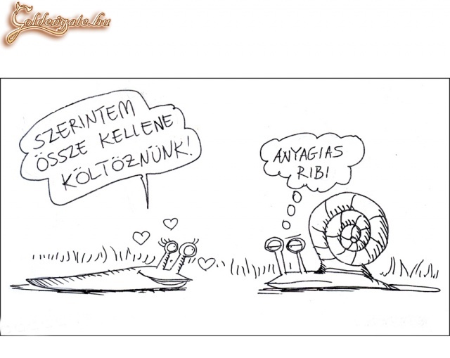 A Nők olyanok mint a csigák !