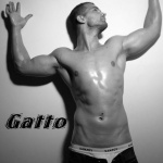 Gatto - 3. kép