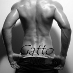 Gatto - 4. kép