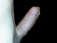 farkam