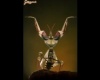 Idolomantis Diabolica