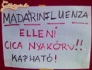 Nyakörv