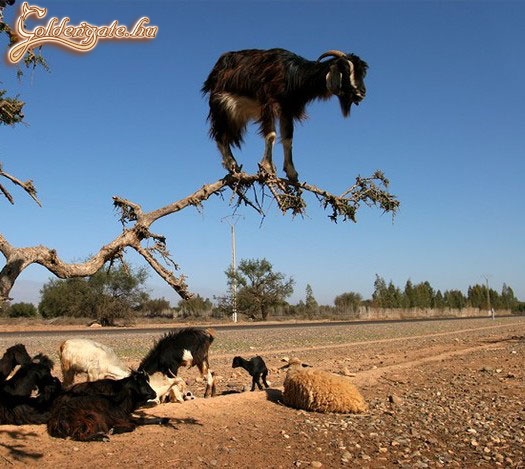 Na innen tuti jobban látok