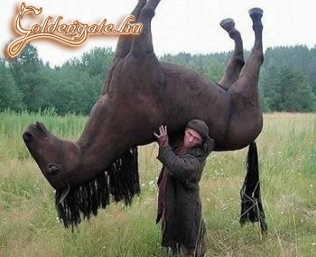 nem jött, hát hoztam