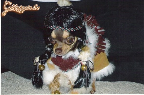 cherokee csiwawa