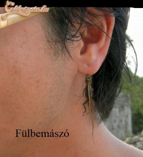 Fülbevaló