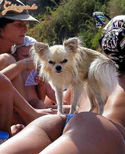 ne nézzé, én vigyázok rá