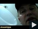 Amatőr pókvadászat