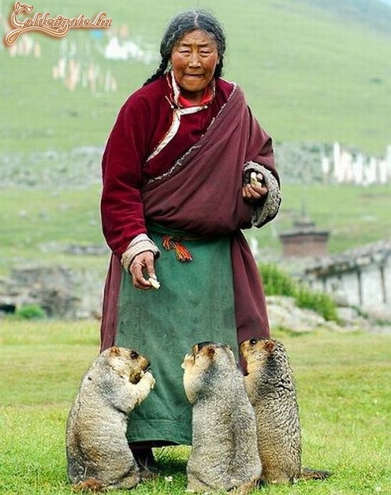 Szerintetek photoshop?