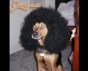 afro kutya:D