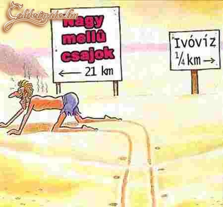 kiszáradva