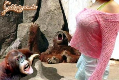 Van itt nagy ámulkodás!