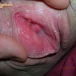 Új és vegyes képek - 29. kép