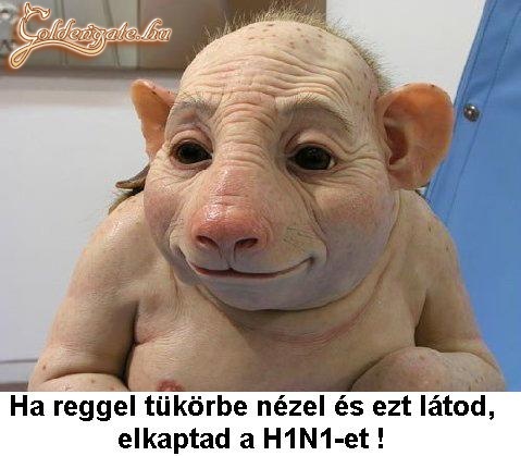 H1N1