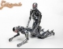 robot sex 