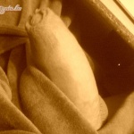 preyknot hosszú sorozata:) - 19. kép