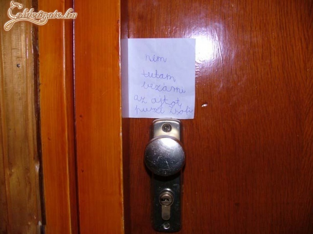 okos kislány