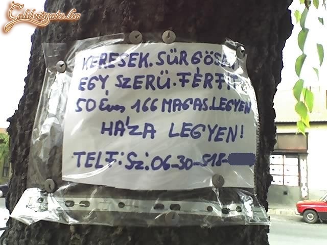 A szükség nagy úr