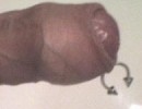 piercing ! hölgyek -csajok irjatok véleményt