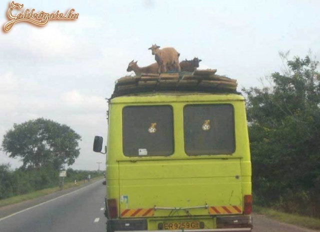 odalint tágasabb