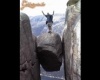 adrenalin
