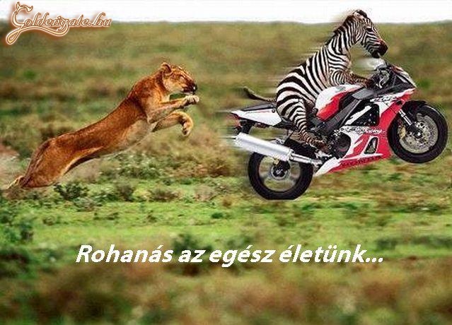 Igy igaz.