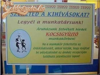 Munkahely.