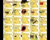 1000 arcú Pikachu!