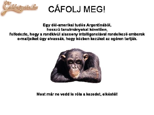Becsapás !