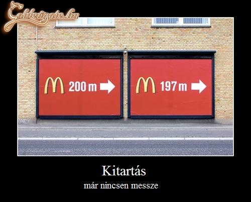 Kitartás