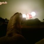 Csak úgy!Véleményeket kérek! - 7. kép