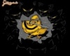 Kill Bill = Kill Bird
