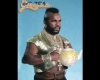 Mister Tea