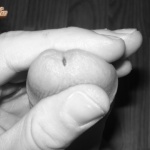 Kíváncsi - 11. kép