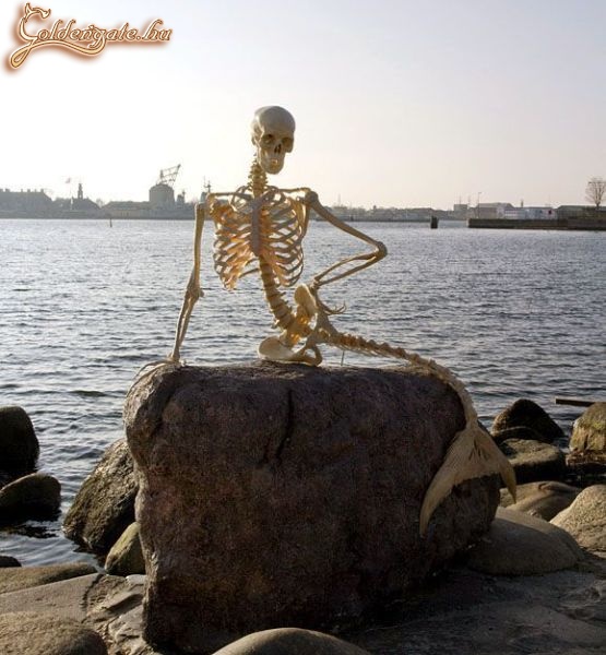 Várj reám míg megjövök...