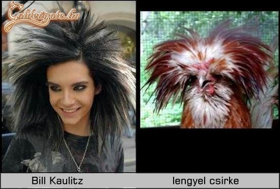 BK vs. LCS