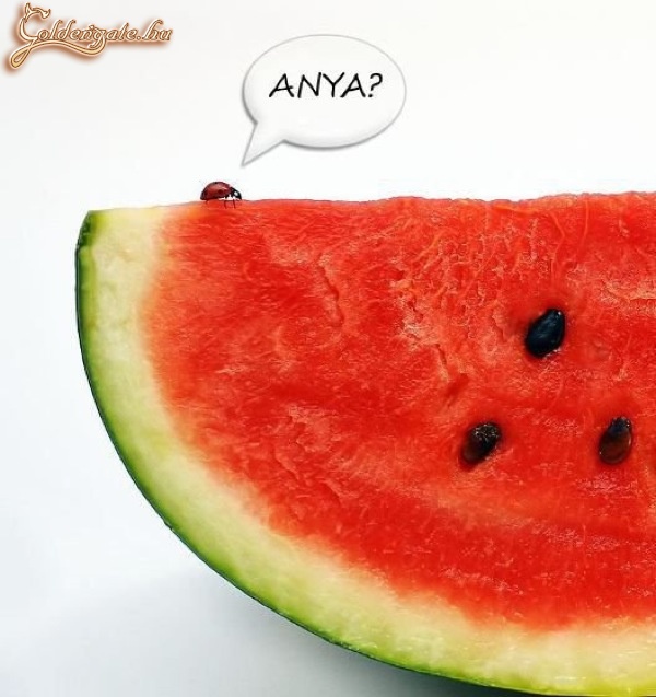 Tévedés