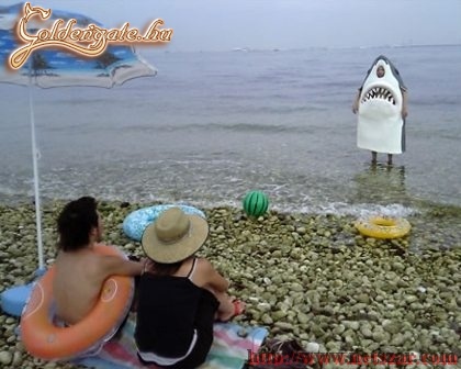 mekora barom állat XD