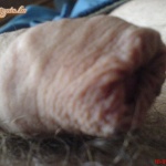 Kipróbálnád??? - 18. kép