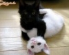 Black&White