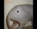 cuki