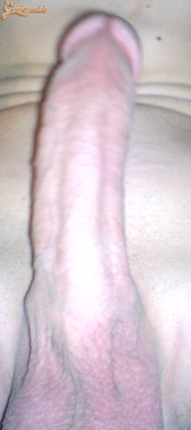 Következő sorozat - 15. kép